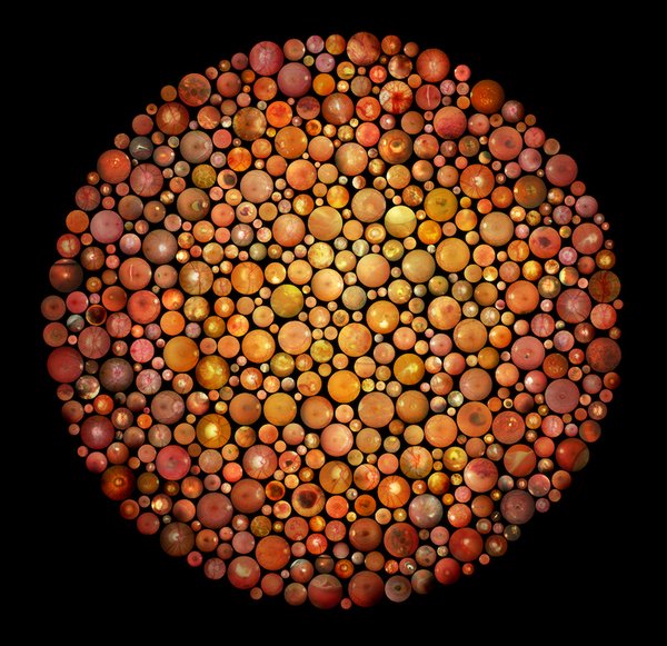 Caricature of Robert Purbrick by Jonathan Brett